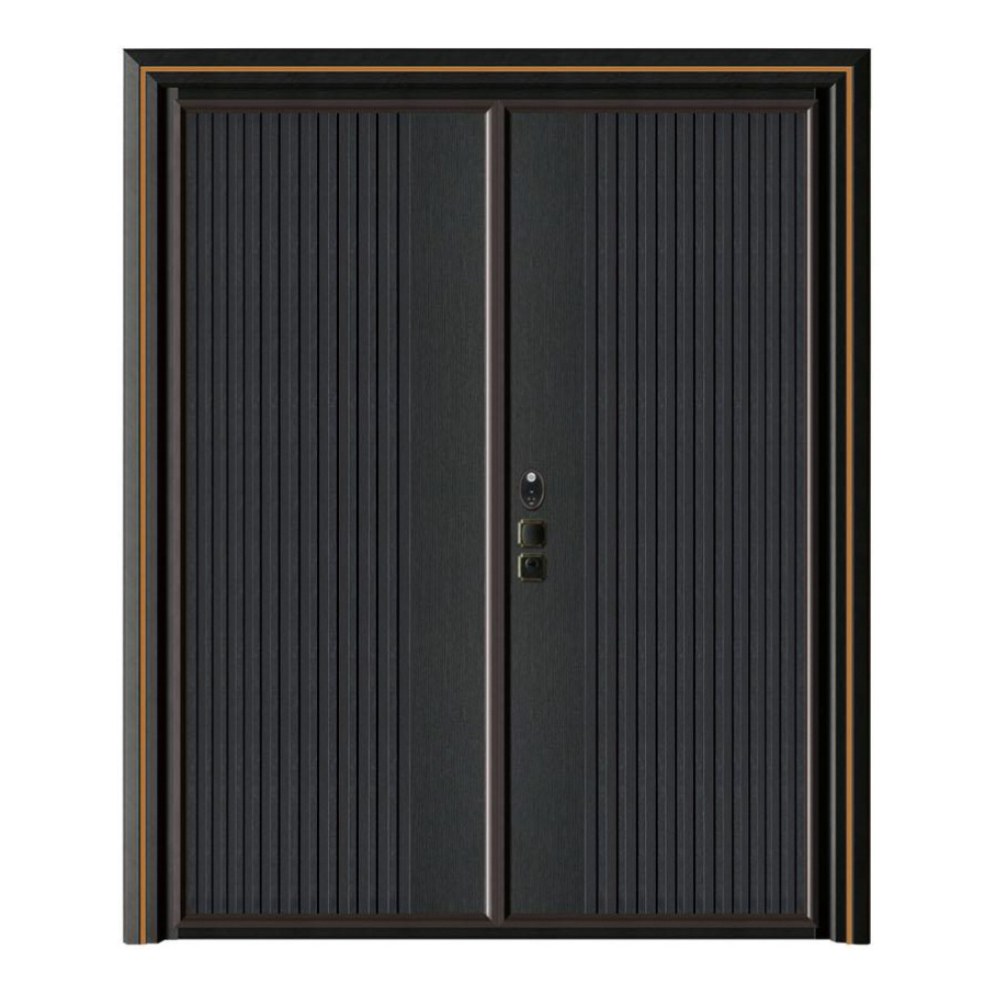 轻奢铝木装甲门