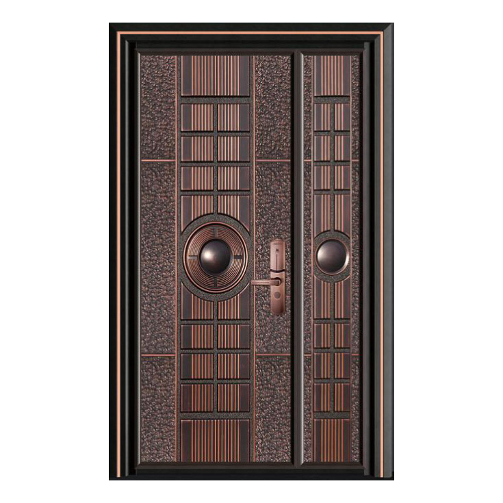 轻奢铝木装甲门