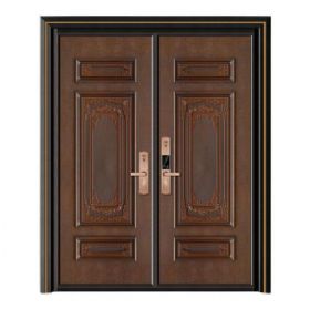 轻奢铝木装甲门SBL-L2031左右逢源