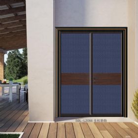 轻奢铝木装甲门SBL-L2066生机勃勃