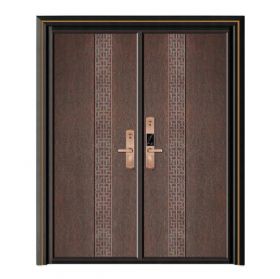 轻奢铝木装甲门SBL-L2076风华正茂