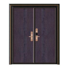 轻奢铝木装甲门SBL-L2081国泰民安