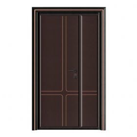 轻奢铝木装甲门SBL-L2086名不虚传